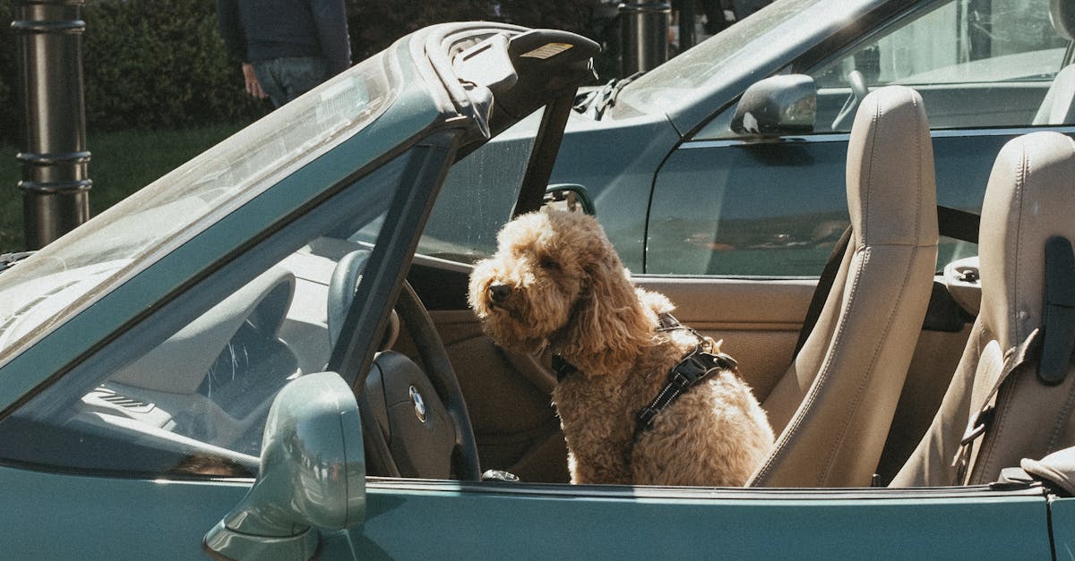 Vehicle Locksmith Oxenford